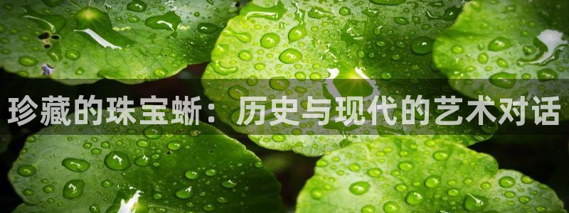 新宝5骗术：珍藏的珠宝蜥：历史与现代的艺术对话