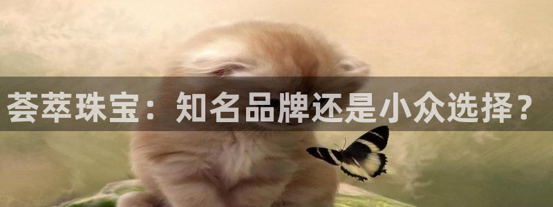 新宝5：荟萃珠宝：知名品牌还是小众选择？