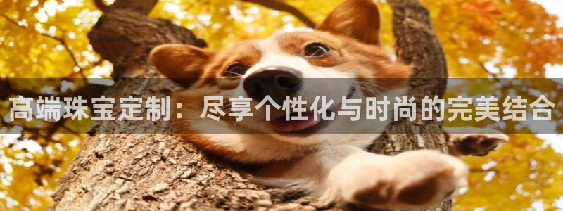 新宝5总代：高端珠宝定制：尽享个性化与时尚的完美结合