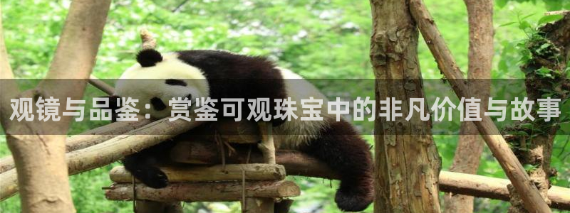 新宝5总代：观镜与品鉴：赏鉴可观珠宝中的非凡价值与故事