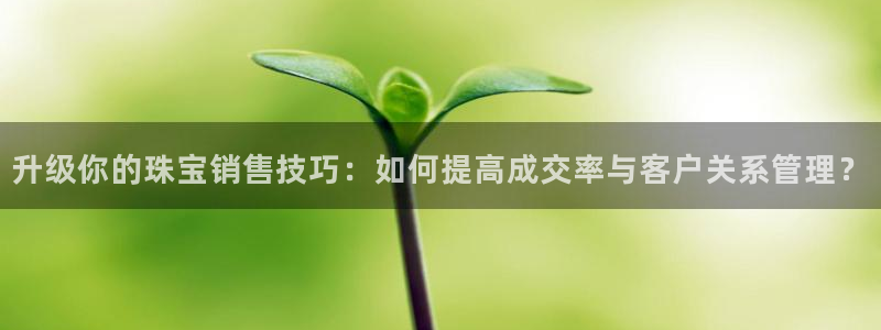 新宝5骗术：升级你的珠宝销售技巧：如何提高成交率与客户关系管理？