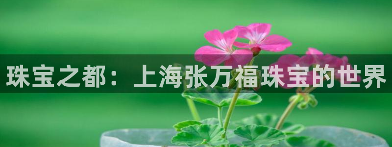 新宝5测试：珠宝之都：上海张万福珠宝的世界