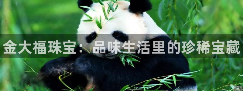 新宝5娱乐方：金大福珠宝：品味生活里的珍稀宝藏