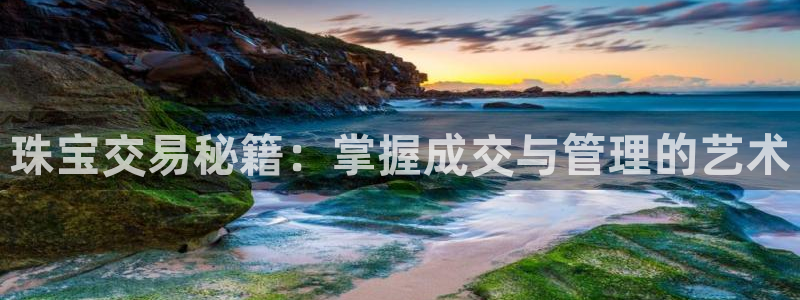 新宝5账号注册：珠宝交易秘籍：掌握成交与管理的艺术