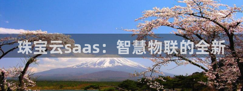 新宝5怎么下载到桌面：珠宝云saas：智慧物联的全新