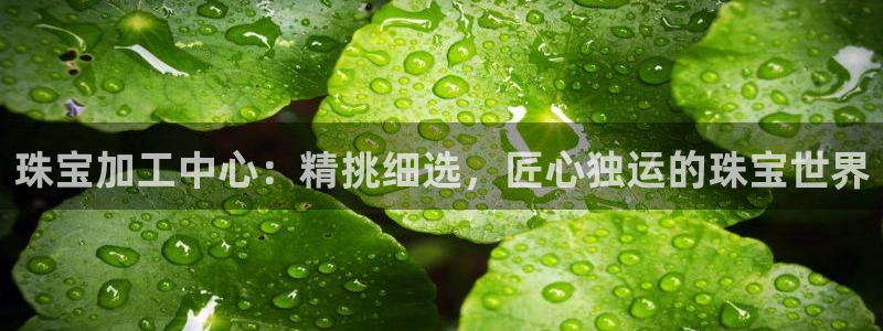 新宝5手机下载：珠宝加工中心：精挑细选，匠心独运的珠宝世界