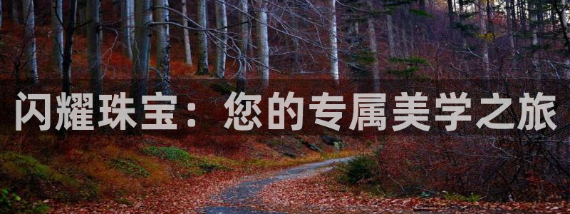 新宝5五：闪耀珠宝：您的专属美学之旅