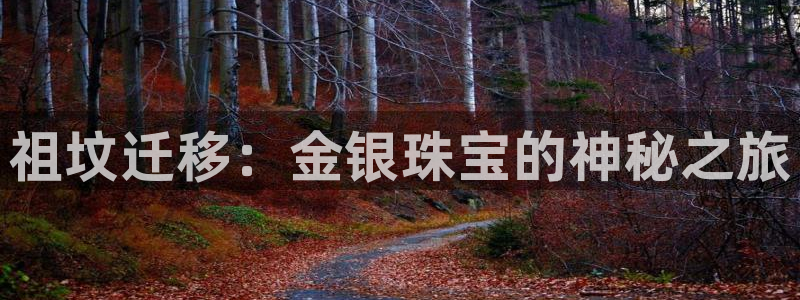 新宝5褚74OOO5：祖坟迁移：金银珠宝的神秘之旅