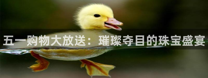 新宝5手机版：五一购物大放送：璀璨夺目的珠宝盛宴