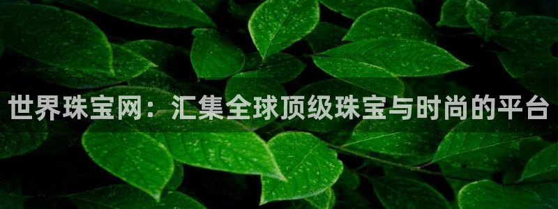 新宝5源码：世界珠宝网：汇集全球顶级珠宝与时尚的平台