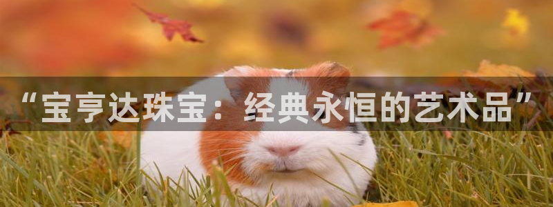 新宝_5：“宝亨达珠宝：经典永恒的艺术品”