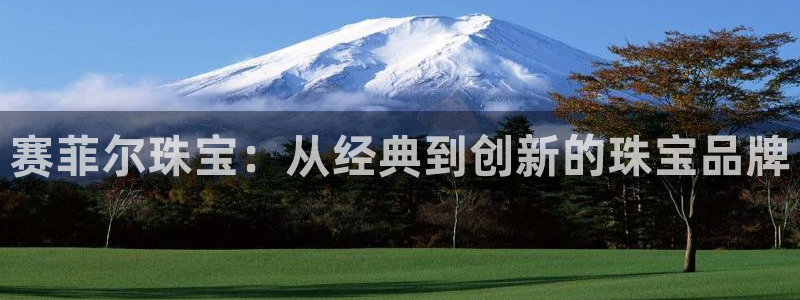 新宝测速5：赛菲尔珠宝：从经典到创新的珠宝品牌