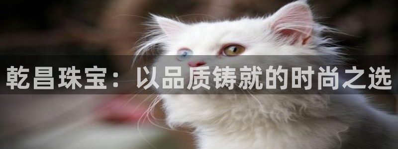 新宝rc_5w：乾昌珠宝：以品质铸就的时尚之选