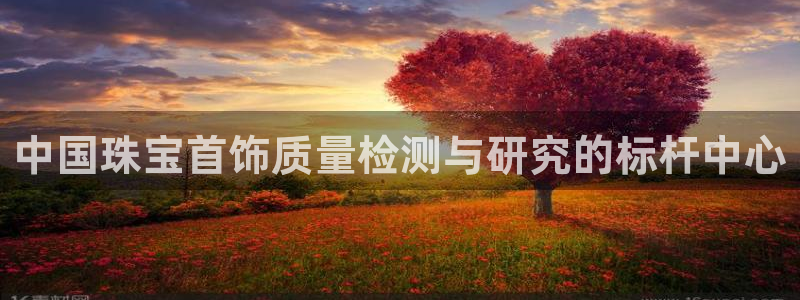 新宝5测：中国珠宝首饰质量检测与研究的标杆中心